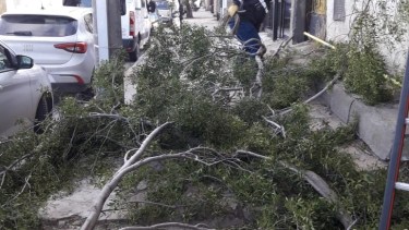 Un operario de la CEB trabaja junto a una rama que afectó el tendido eléctrico en el invierno. (Gentileza)