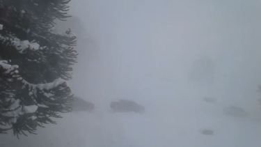 Video: viento de 110 km/h y 50 metros de visibilidad en Primeros Pinos