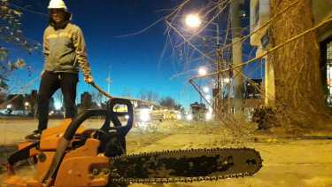 La poda se realiza habitualmente temprano para evitar accidentes. (Foto: Mauro Pérez)