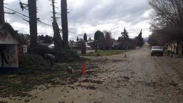 Una poda en la escuela 187 dejó sin luz al barrio El Mallín, en Bariloche. (Gentileza)