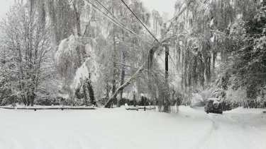 Foto: www.diarioandino.com.ar