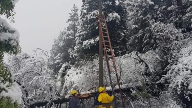 Edersa implementó un plan de contingencia en El Bolsón, ante el temporal de nieve