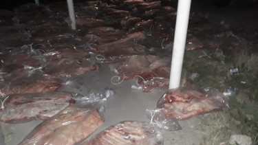 Río Colorado: decomisaron más de 700  kilos de carne con hueso