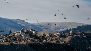 Video: el dramático problema de la basura en San Martín de los Andes