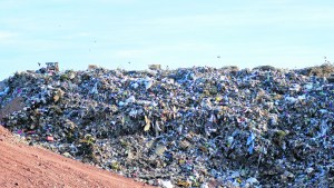 Se separará la basura en los paseos públicos de Neuquén