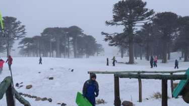 Primeros Pinos, en plena temporada de invierno, años atrás. Archivo "Río Negro"