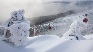 Nieve 2019: espectaculares postales de la Patagonia