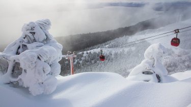 Nieve 2019: espectaculares postales de la Patagonia