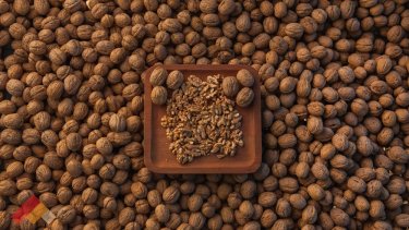 Las nueces de Neuquén llegan en agosto a Nápoles, Italia