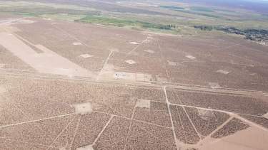 El terreno de 26 hectáreas está ubicado en la zona de bardas, cerca de la Ruta 151. (Foto: Gentileza)
