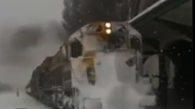 Imagen de Mirá cómo llega el Tren a Bariloche en plena nevada