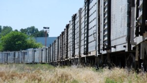 Tren Norpatagónico: transfieren un inmueble para facilitar la conexión Bahía Blanca y Vaca Muerta