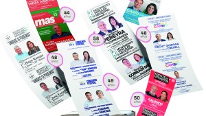Elecciones en Neuquén: el recambio generacional en las boletas, una materia pendiente