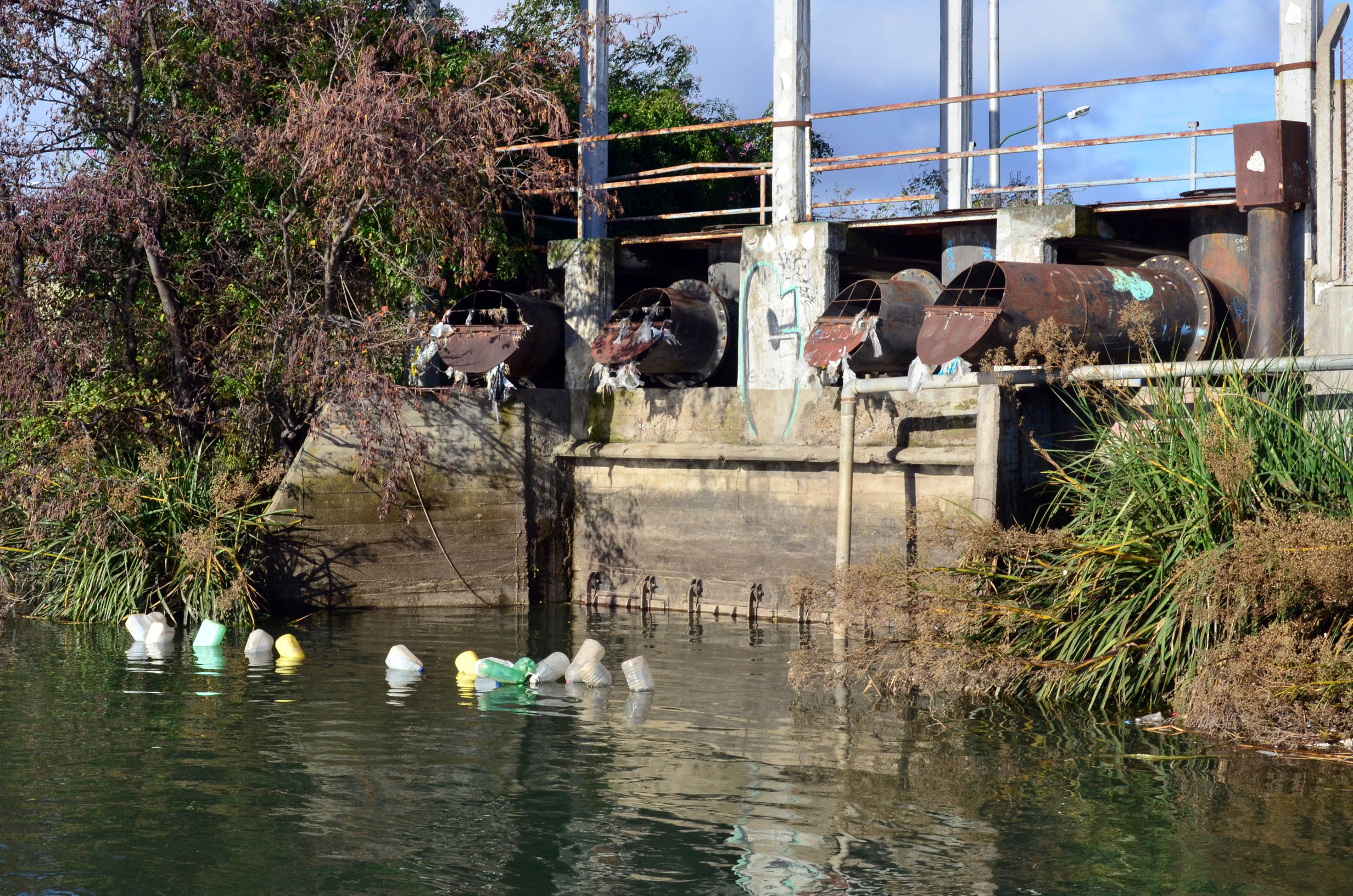 La Municipalidad de Viedma no instaló las rejas para evitar que la basura llegue al río. Foto: Marcelo Ochoa