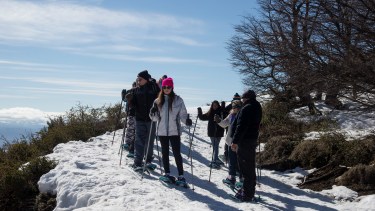  Foto: Marcelo Martinez