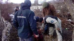 Jóvenes detenidos por degollar e intentar robar ovejas