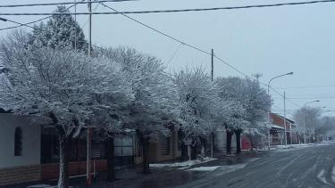 Foto gentileza @agustin_orejas