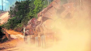 Una catástrofe esperable