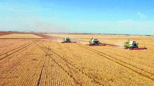 Ser o no ser: hay que salir de la decadencia ininterrumpida