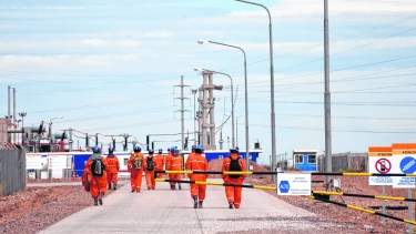 La obligatoriedad no sólo abarca a los ingenieros sino también a técnicos y licenciados. En total son más de veinte títulos.