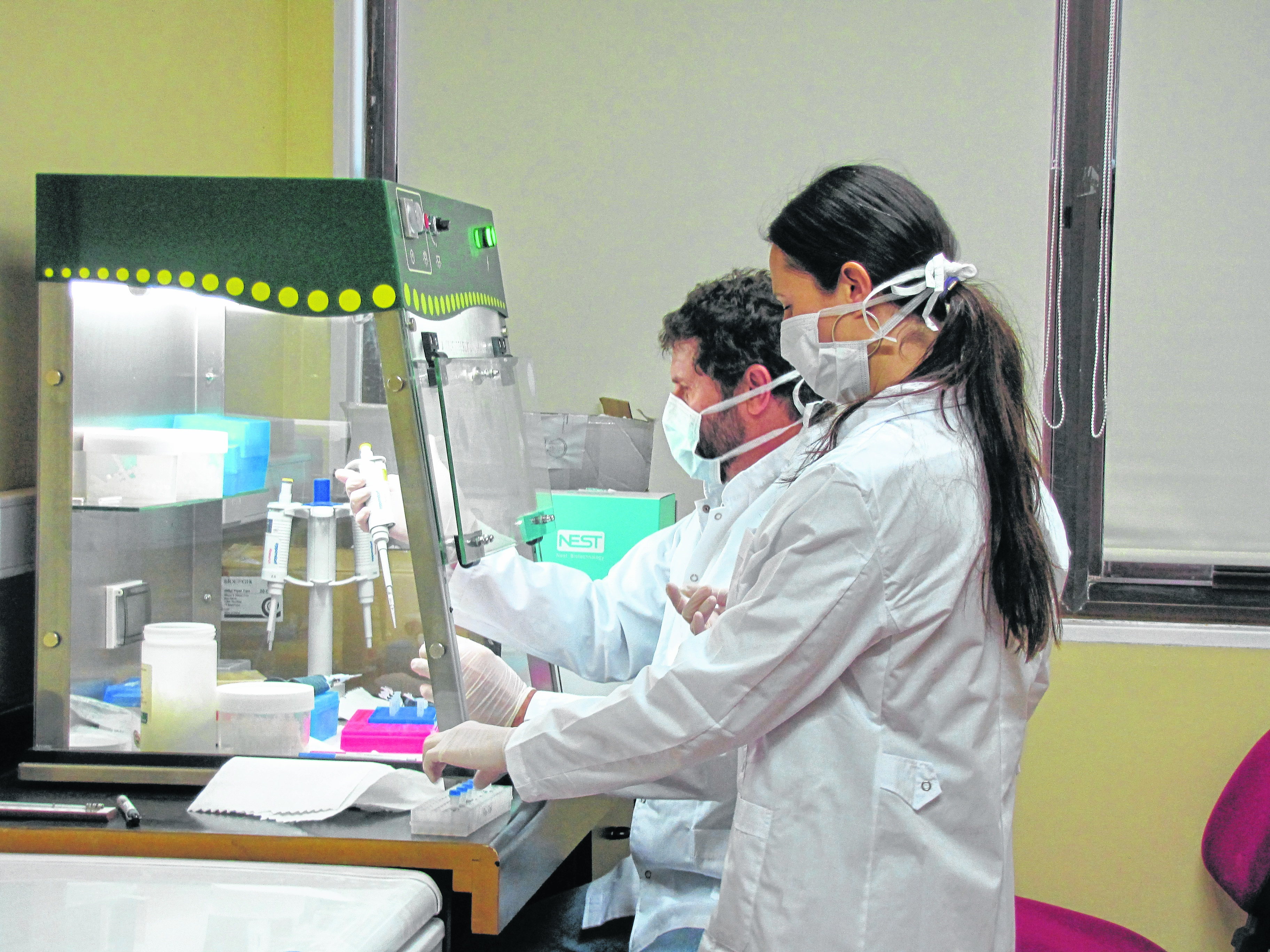 Los científicos de la Universidad de Río Negro, analizando las muestras que se tomaron.