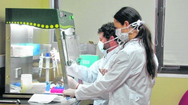 Los científicos de la Universidad de Río Negro, analizando las muestras que se tomaron.