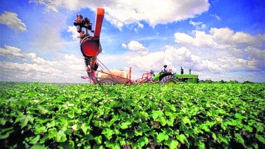 Día Mundial del Clima: la adaptación al cambio climático