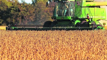 Por la supercosecha, la actividad creció 2,6% en mayo y cortó un ciclo de 12 caídas interanuales consecutivas.   