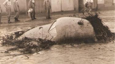 Secuelas de los aluviones.