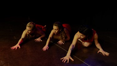 Amor sin voz. La puesta de hoy se centra en el movimiento.