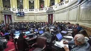 Las prioridades de los candidatos neuquinos