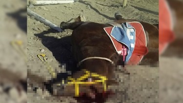 Foto: Facebook Juan carlos Parada