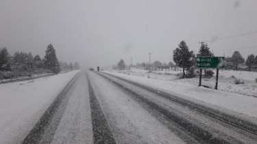 Extrema precaución al circular en la Ruta 40 entre Bariloche y El Bolsón. Archivo