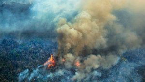 El fuego consume la Amazonia ante el negacionismo de Bolsonaro