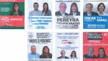 Estos son los precandidatos a ocupar una banca en el Senado de la Nación.