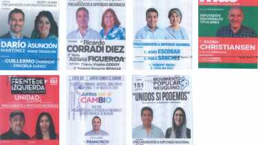 Los precandidatos a la Cámara de Diputados.