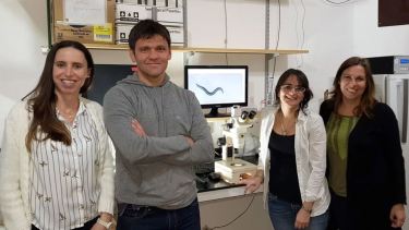 El equipo de trabajo que logró el avance al estudiar durante cuatro años los procesos de una especie de gusanos. 