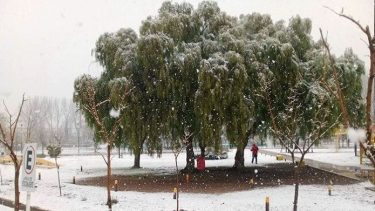 Después de 42 años nevó en Santa Rosa, La Pampa