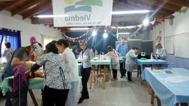 Esterilizaron, desparasitaron y vacunaron gratis a 300 mascotas en Viedma