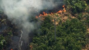 Arde el Amazonia: las Fuerzas Armadas, listas para combatir el fuego