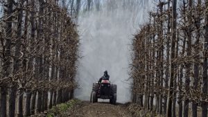 Se abrió la inscripción en el Renspa para productores frutícolas