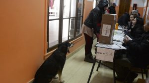 Las imágenes de las PASO en Bariloche