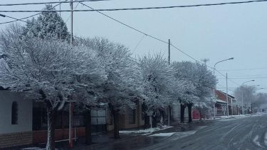 Una intensa nevada cayó en Cutral Co y Plaza Huincul