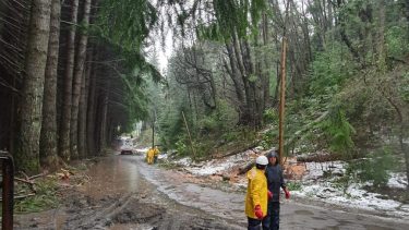 Después del temporal y el derrumbe, terminan de conectar la luz en la Angostura