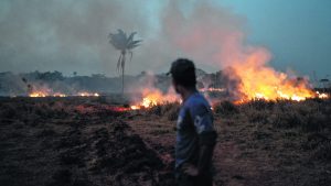 Amazonia: el mayor drama no es el fuego
