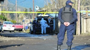 La pelea de perros que provocó una trama de sangre en Bariloche