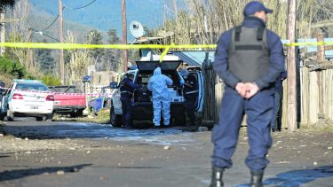 La pelea de perros que provocó una trama de sangre en Bariloche