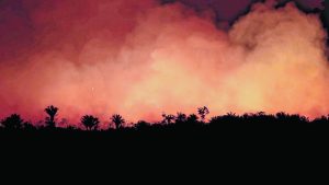 Arde la Amazonia: el fuego se devora el pulmón del mundo