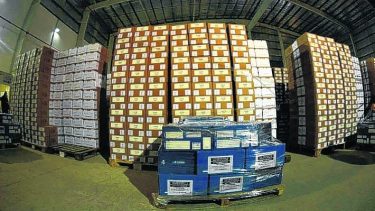 PASO: un test que marcará el pulso de la elección de octubre