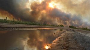 En el incendio de 2001, La Pampa sufrió el doble de hectáreas perdidas que la Amazonia hoy